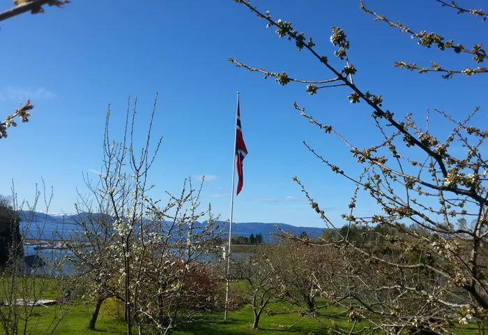 20150503 104820